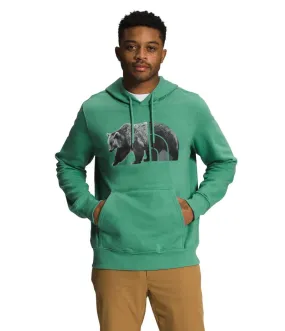 Buzo Tnf Bear Pullover Verde Hombre The North Face