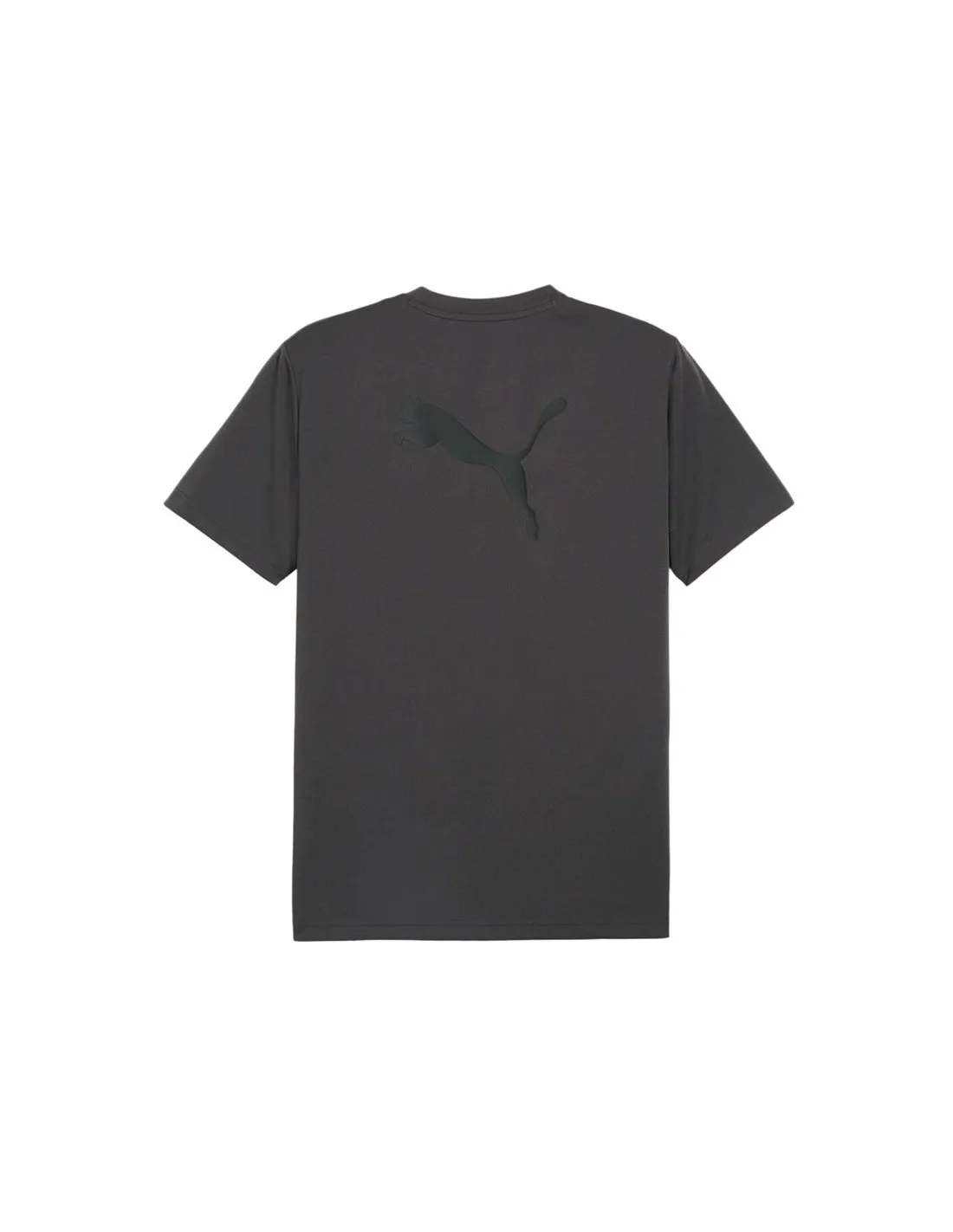 Camiseta de Fútbol Puma individualRISE Hombre Gris