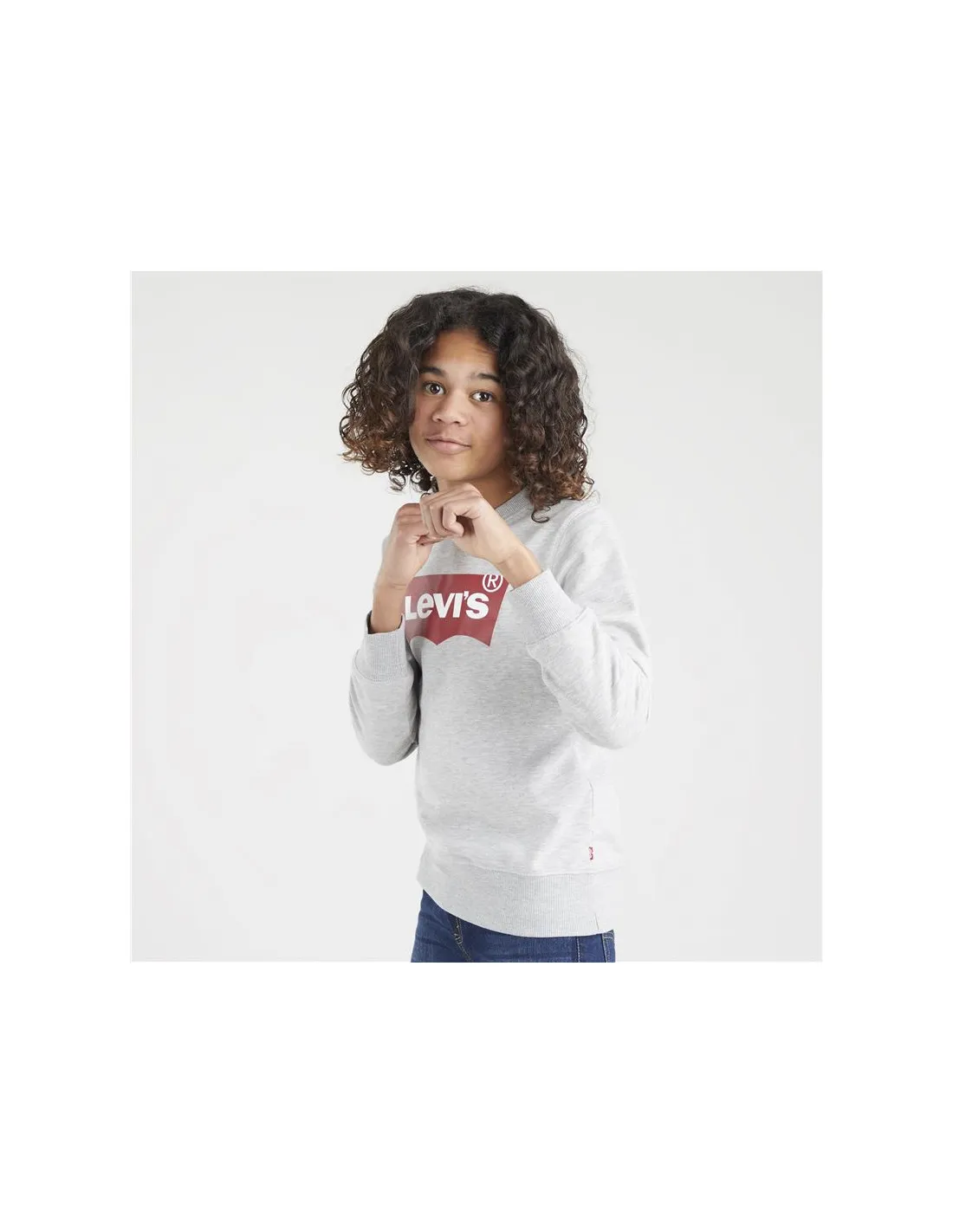 Sudadera Levi's Batwing Crewneck Boy Grey