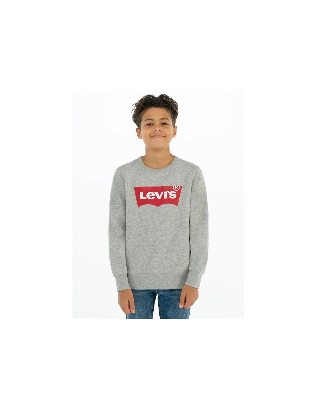 Sudadera Levi's Batwing Crewneck Boy Grey