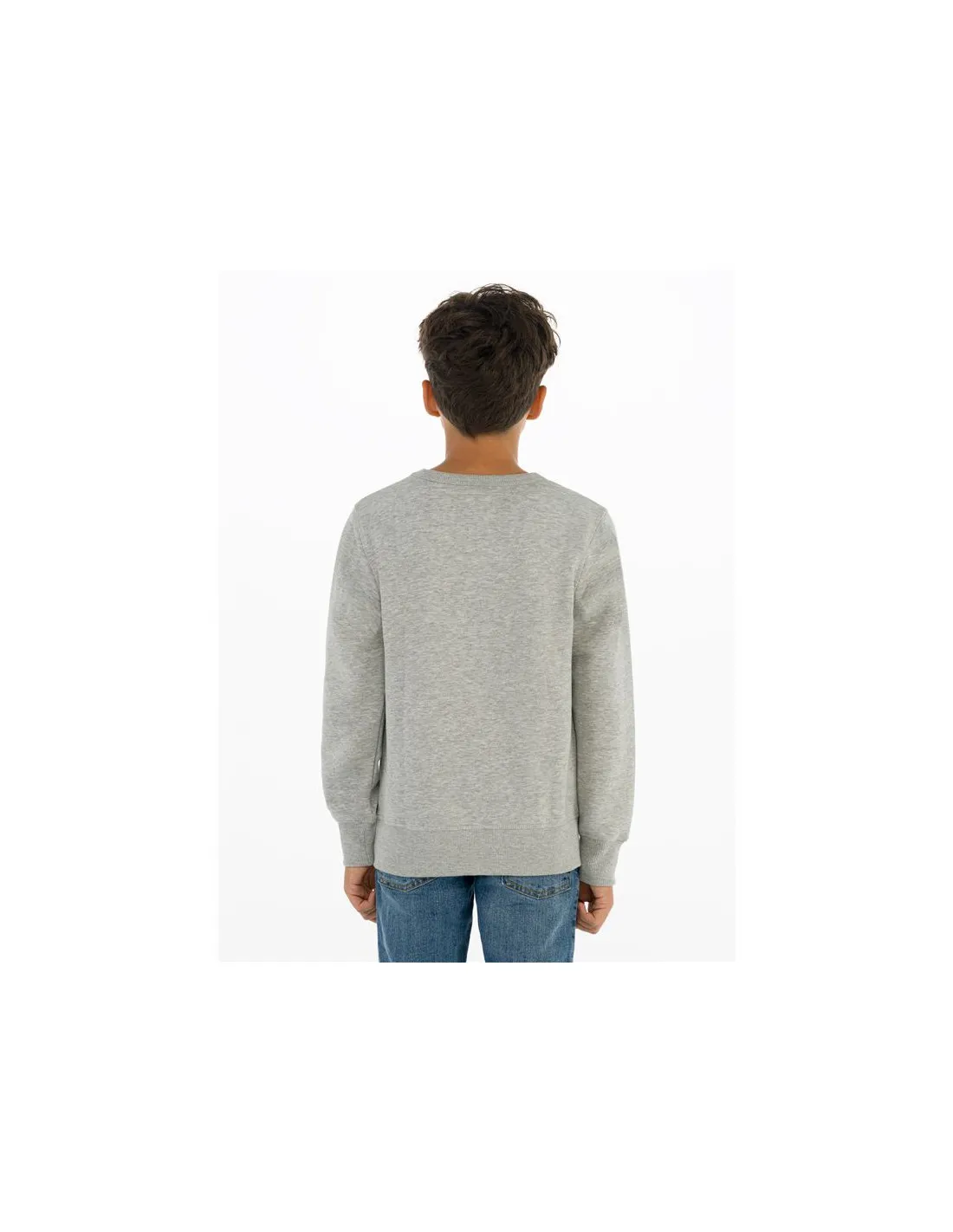 Sudadera Levi's Batwing Crewneck Boy Grey