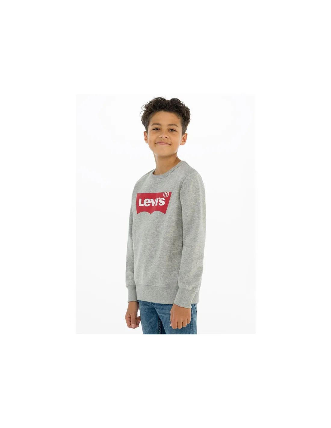 Sudadera Levi's Batwing Crewneck Boy Grey