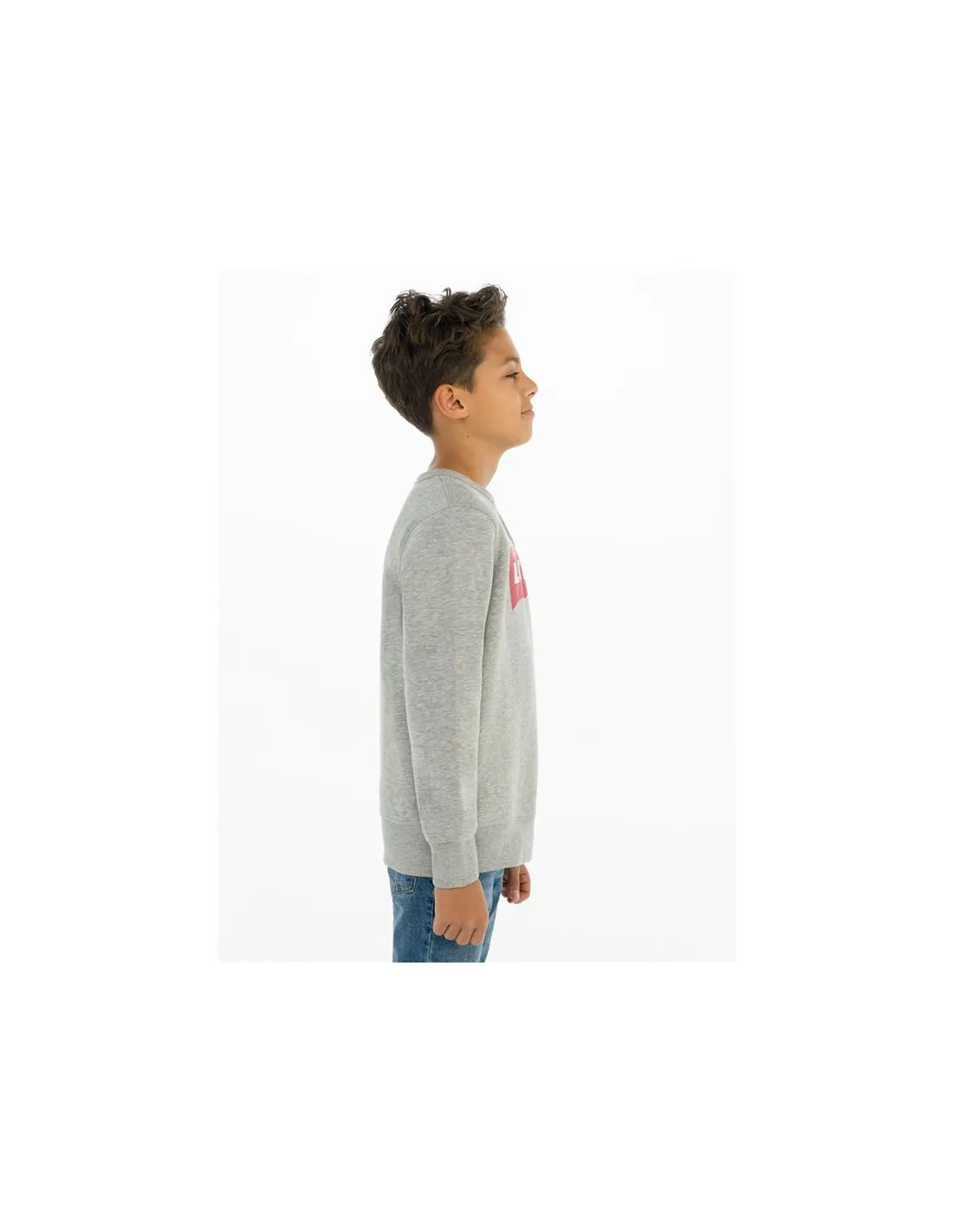 Sudadera Levi's Batwing Crewneck Boy Grey