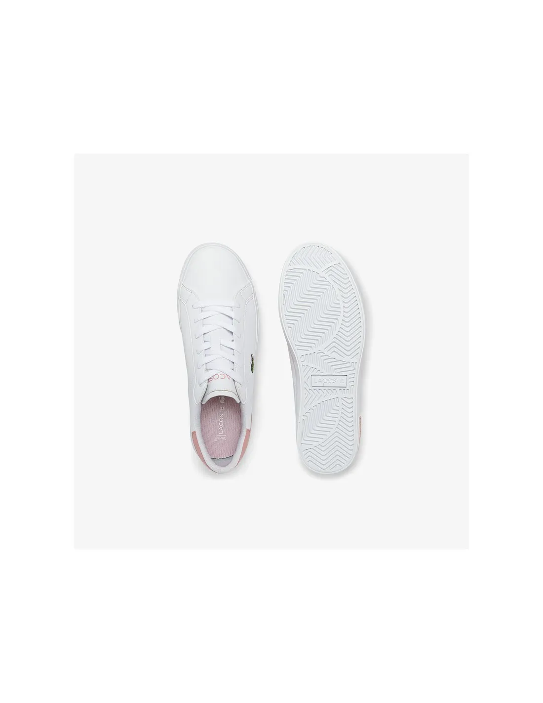 Zapatillas casuales Powercourt de Lacoste